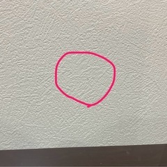 J-STAGE ベーシックタイプ コレクションケースの画像
