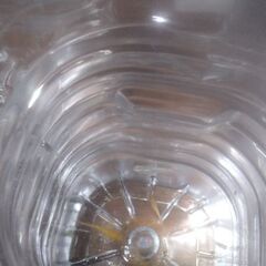 ボトル入りメダカ(5匹)4ボトル追加品出ししました。の画像