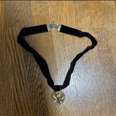 アナ雪コスプレ　Lサイズ&パニエセット　結婚式　余興衣装　誕生日　ディズニーの画像