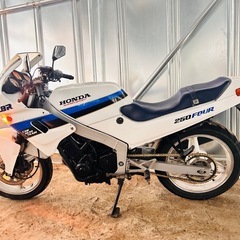 ⭐︎CBR250F⭐︎規制前45馬力⭐︎セル始動⭐︎比較的綺麗⭐︎埼玉県より配送可能⭐︎の画像