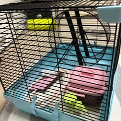 小動物飼育セットの画像