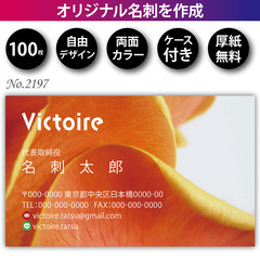 名刺印刷 100枚 両面 フルカラー 紙ケース付 No.2…