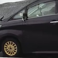スタッドレス4ほん本の画像