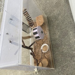 アクリルゲージ　小動物　の画像