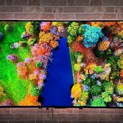 【美品】LG有機ELテレビ OLED48C2PJAの画像