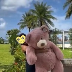 💖コストコピンククマぬいぐるみ　レア物💖の画像