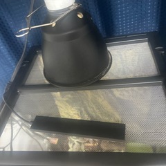 爬虫類ケージの画像