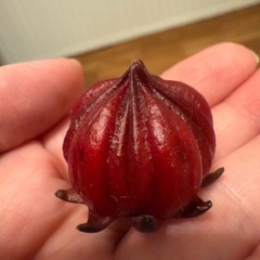 生ローゼルの画像