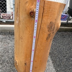 丸太の画像