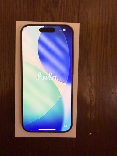 iPhone15pro256GB
シルバー