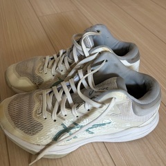 asics バッシュ　24.5ｃｍ　の画像