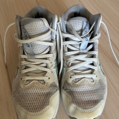 asics バッシュ　24.5ｃｍ　の画像