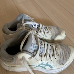 asics バッシュ　24.5ｃｍ　の画像