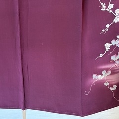 昭和レトロ　色留袖の画像