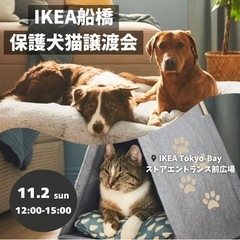 11/2（日）IKEA TOKYO BAY（IKEA船橋）…