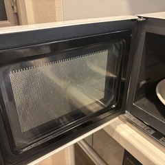 アイリスアオヤマ電子レンジの画像