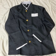 鬼殺隊の制服大人フリーサイズの画像