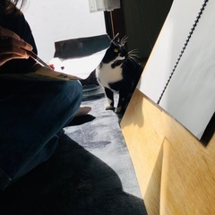 大人の絵の教室　500円の画像
