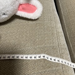 最終値下げ‼️スシロー抱っこずし‼️えび‼️の画像