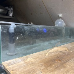 【大きな水槽と浄化ポンプ】の画像
