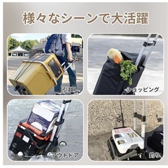 MOSEN COMDEVキャリーカートの画像