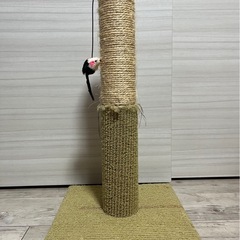 猫　爪研ぎの画像