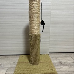 猫　爪研ぎの画像