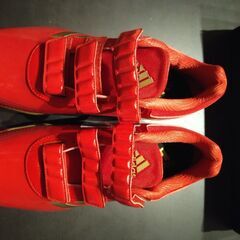 adidas adipure TR AC 野球用シューズ 10 USの画像