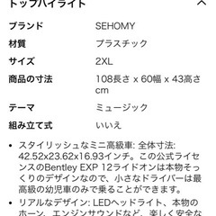 乗用ラジコン
の画像