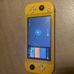 switchライト　ジャンクの画像