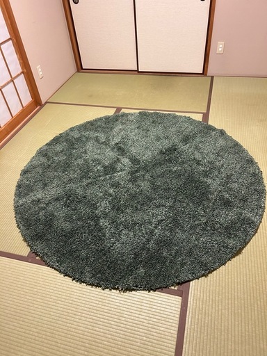 ニトリ 円形ラグ グリーン 180cm (しろちゃん) 寄居のカーペット