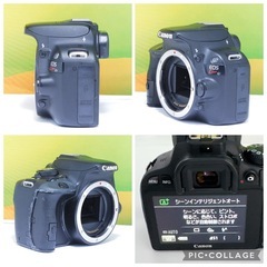 ✨訳アリ✨大特価✨ジャンク品✨ Canon EOS kiss X7 ボディ ブラック 一眼レフの画像