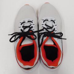 NIKE ナイキ レジェンド エッセンシャル 2 CQ9356-018 シルバー size:26.5cmの画像
