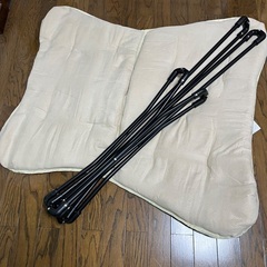 ニトリ　バタフライチェア　BE NSUの画像