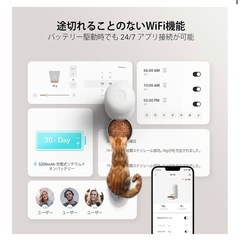 自動餌やり器　ねこ猫の画像