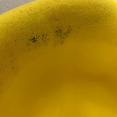 バンボ/ベビーチェアの画像