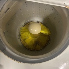 自動靴洗洗濯機　コイン式の画像