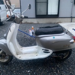 【実働】AF24ジョルノ　即納可の画像