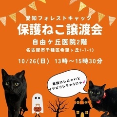 10/26 保護猫譲渡会　名古屋市