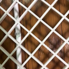【13日まで掲載】メッシュワイド突っ張りたな棚の画像