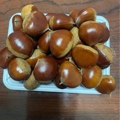 生栗1キロの画像