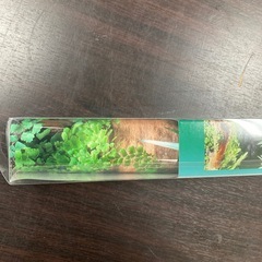 未使用　3Dスクリーン　60センチ水槽用の画像