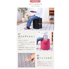 オットマン/スツール(収納可)の画像