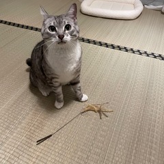 年末に向けての片付け、空き家整理など！！