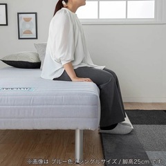 フランスベッド シングル ベッド 脚高250mm（ブルー） ＋ベッドパットとシーツ２枚セットの画像