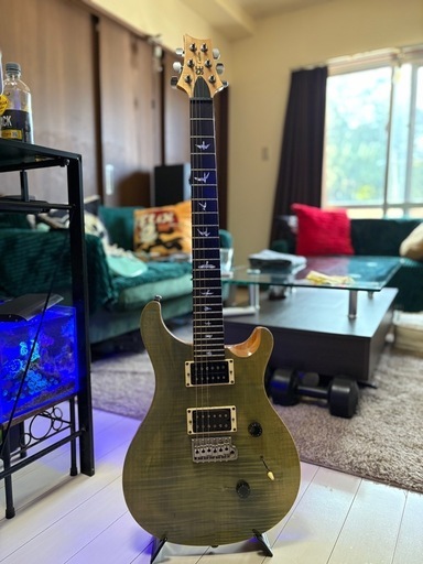 2015年製 PRS SE Custom24 カスタム24 バードインレイ