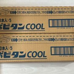 定価23100円★リポビタンクール 100mL×100本★新品未開封の画像