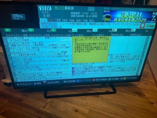 Panasonic VIERA TH-43D300 動作品