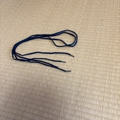 靴ひもの画像