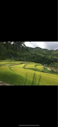 🌾新米🌾　夢つくし　🌾令和7度産🌾